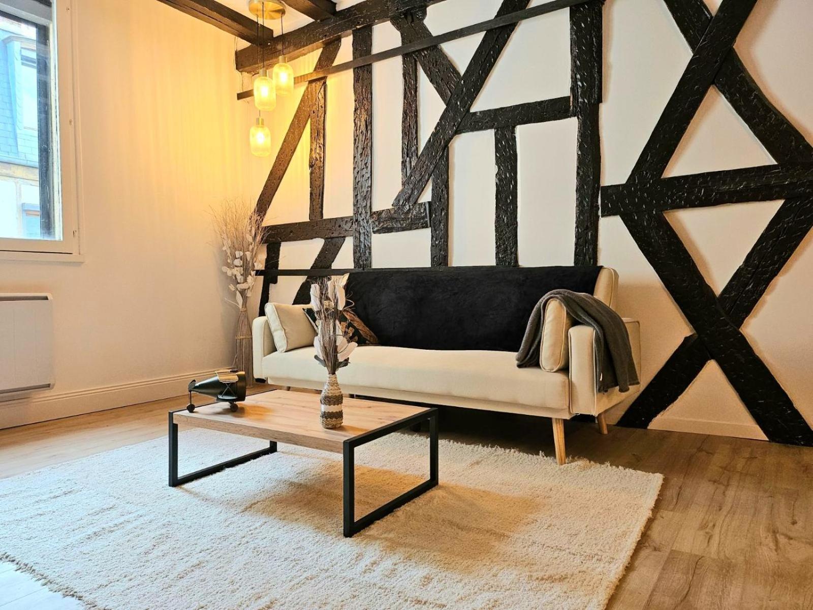 La Dame Blanche - Appartement Hypercentre Historique Bourges Esterno foto